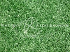 Land for the self-builder @ the Golf course - Land - Siam Country Club - Soi Siam Country Club